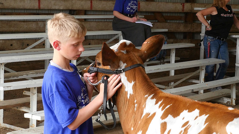 4-H Exhibits, Static Projects and more!